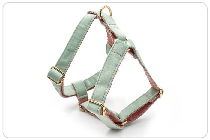 sage green velvet dog collar sage green velvet dog collar